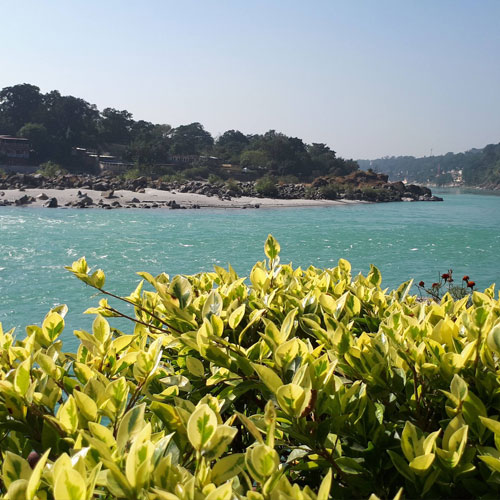 listing-details-carousel