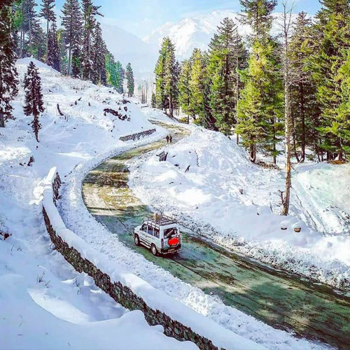 listing-details-carousel