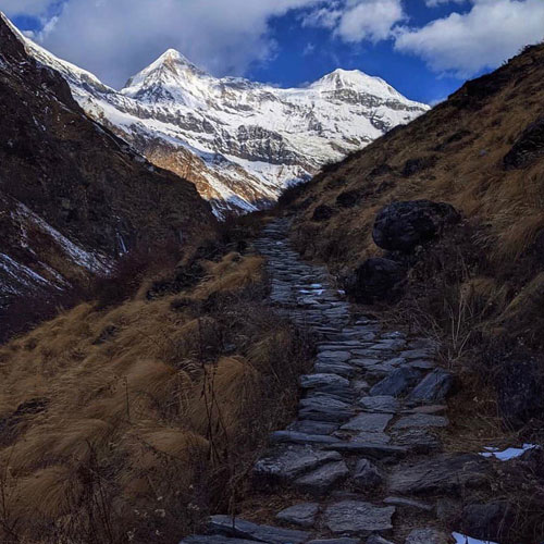 listing-details-carousel