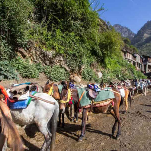 listing-details-carousel