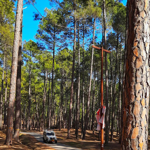 listing-details-carousel