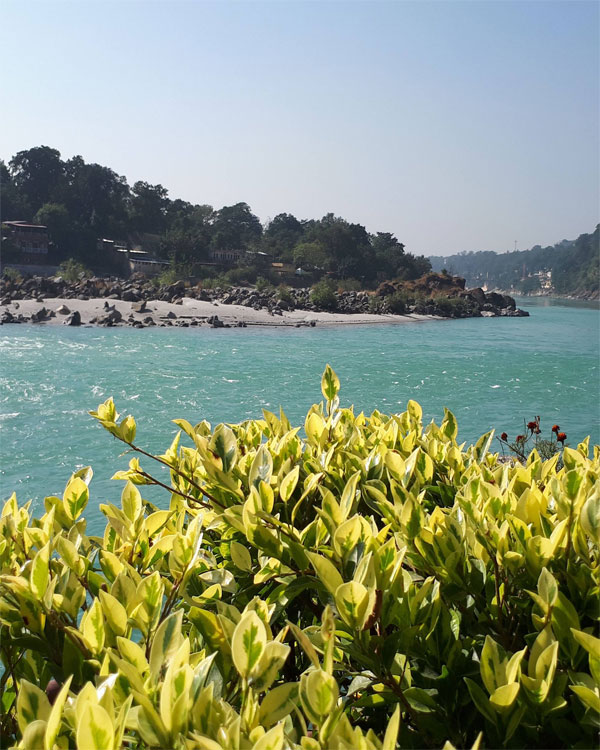 listing-details-carousel