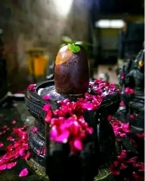 listing-details-carousel