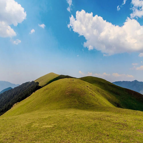 listing-details-carousel