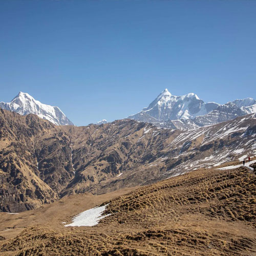 listing-details-carousel