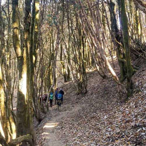 listing-details-carousel