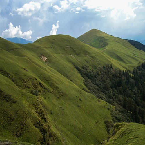 listing-details-carousel