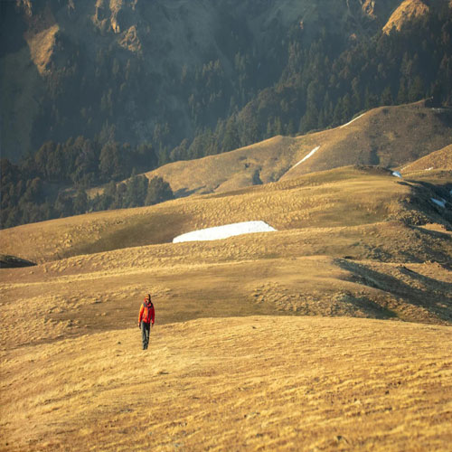 listing-details-carousel