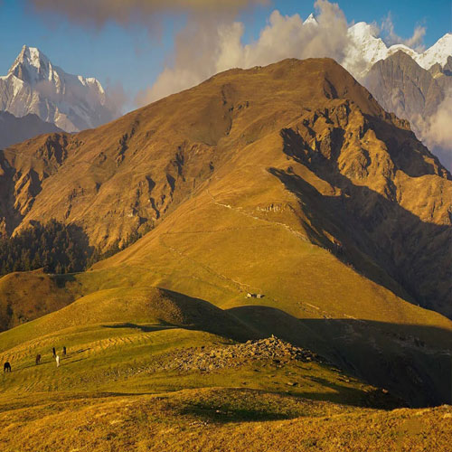 listing-details-carousel