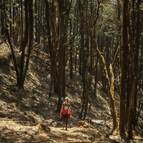 listing-details-carousel