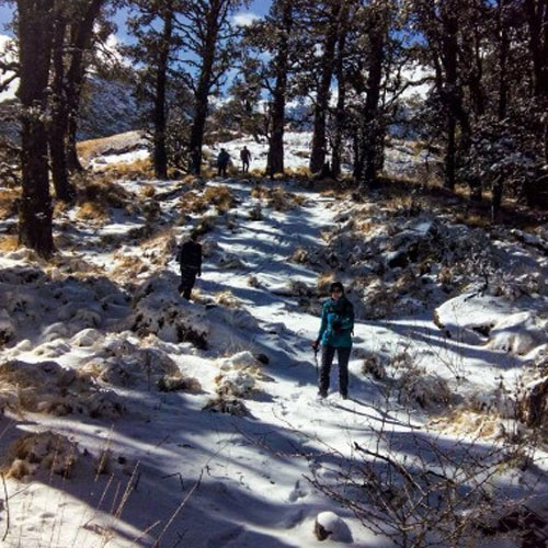 listing-details-carousel