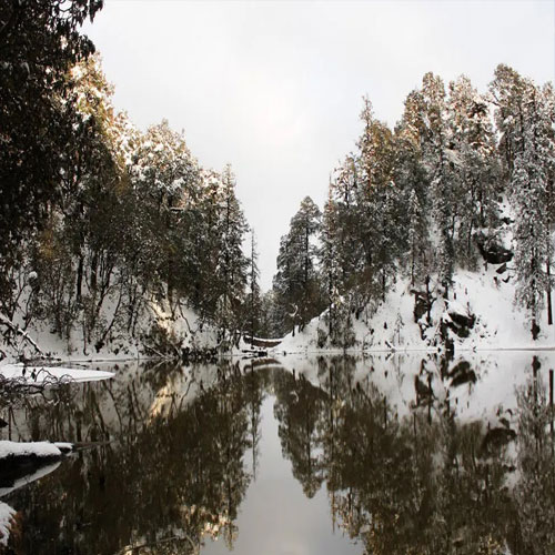 listing-details-carousel