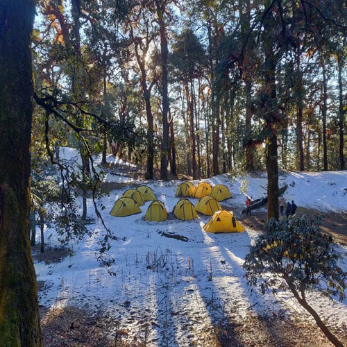 listing-details-carousel