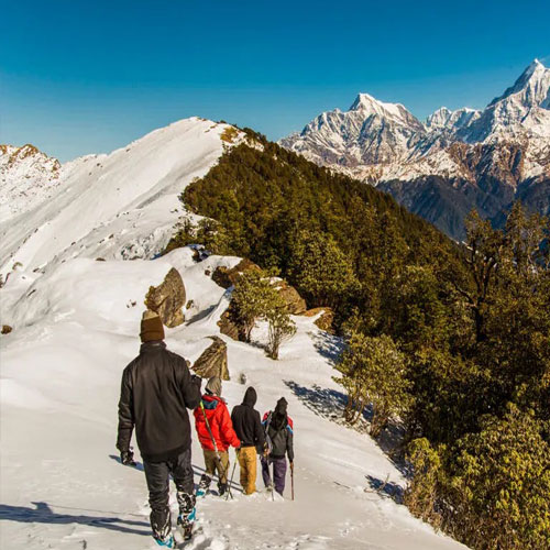 listing-details-carousel