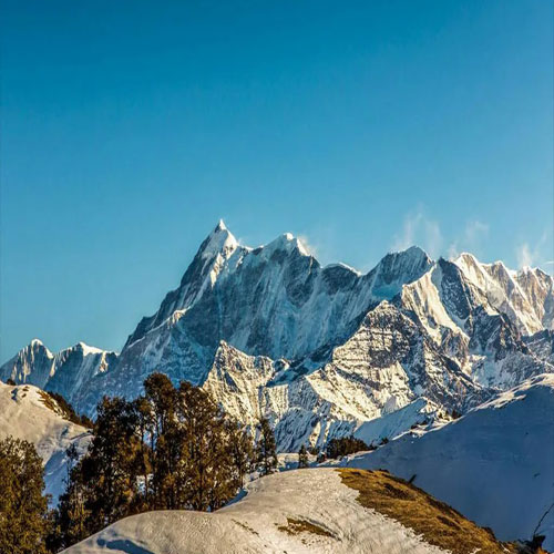 listing-details-carousel