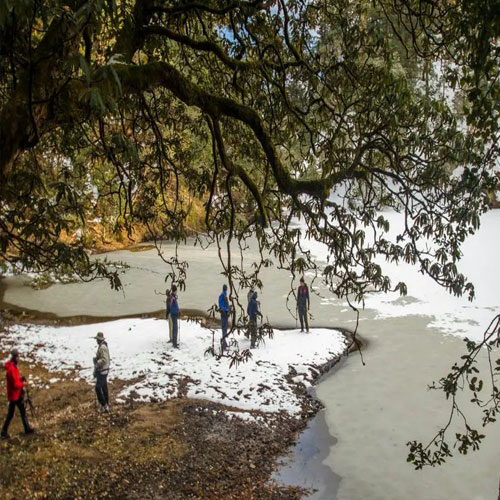 listing-details-carousel