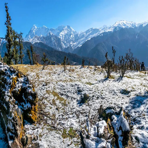 listing-details-carousel