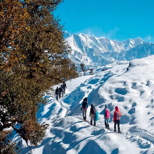 listing-details-carousel