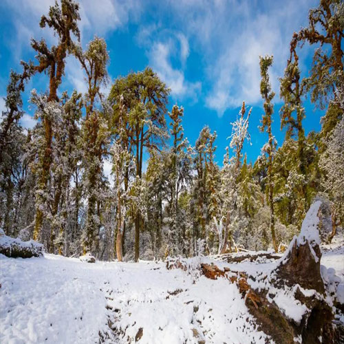 listing-details-carousel