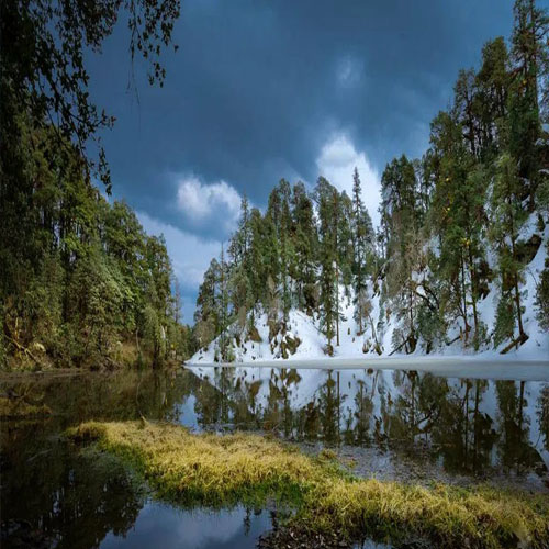 listing-details-carousel