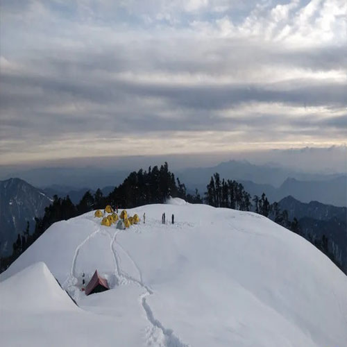 listing-details-carousel