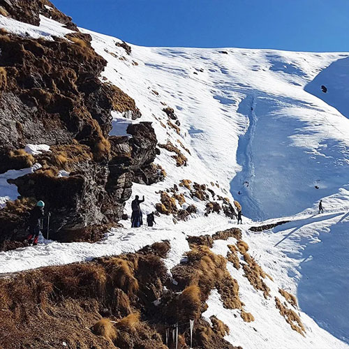 listing-details-carousel