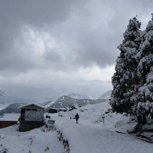 listing-details-carousel