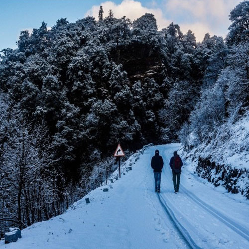 listing-details-carousel