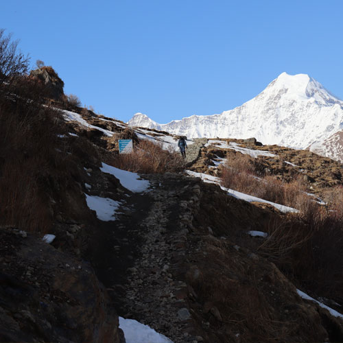 listing-details-carousel