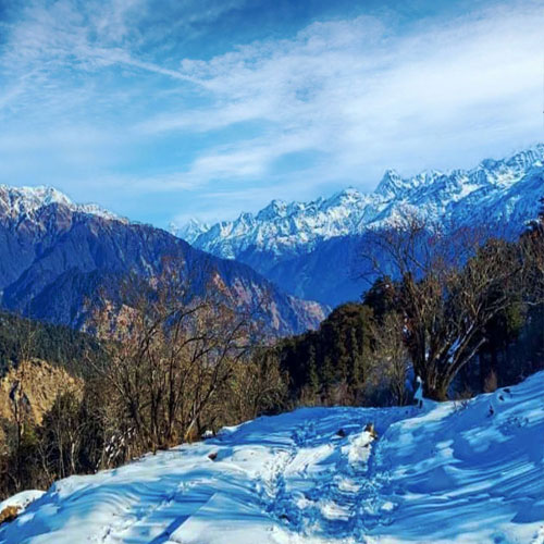 listing-details-carousel