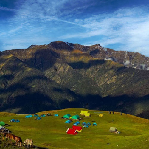 listing-details-carousel