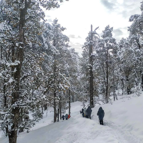 listing-details-carousel