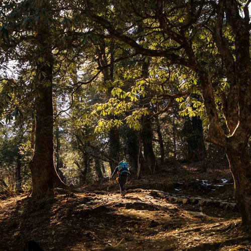 listing-details-carousel