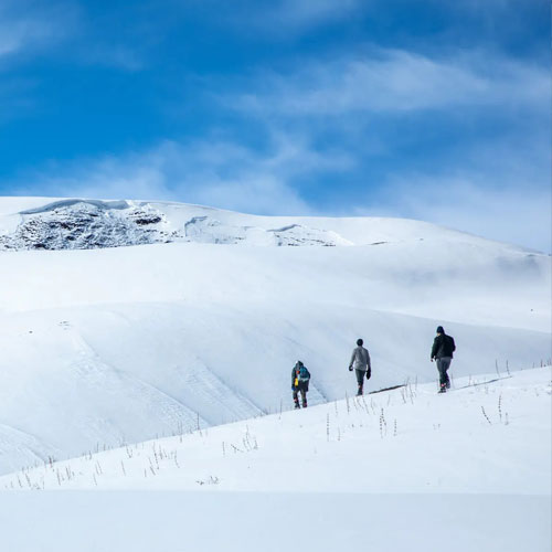 listing-details-carousel