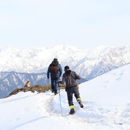 listing-details-carousel