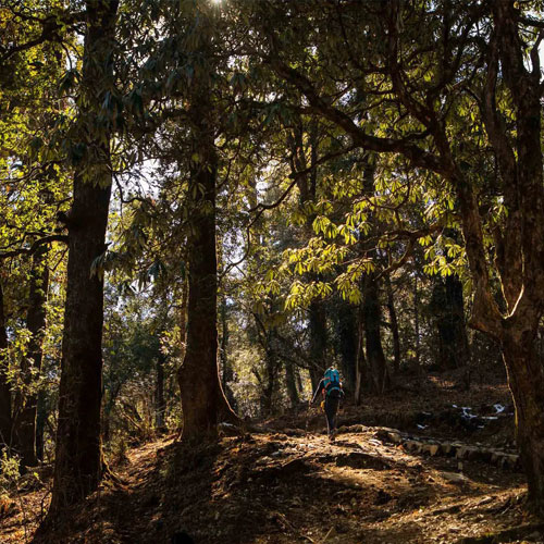 listing-details-carousel