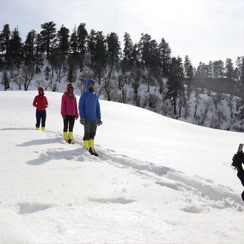 listing-details-carousel