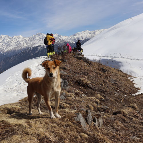 listing-details-carousel