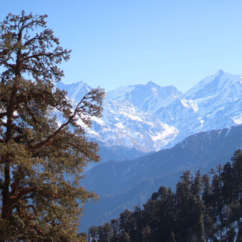 listing-details-carousel