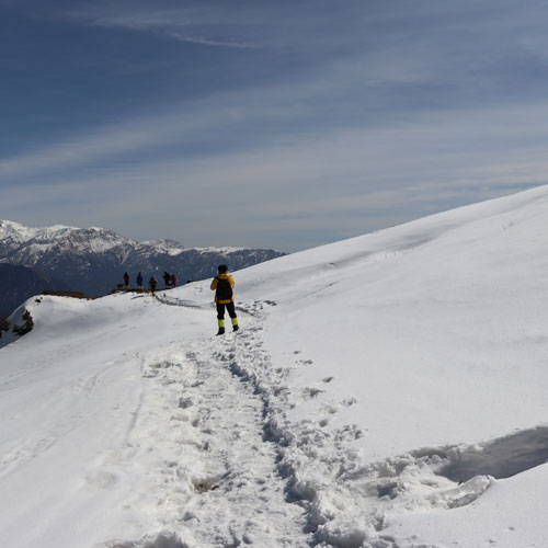 listing-details-carousel