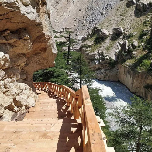 listing-details-carousel