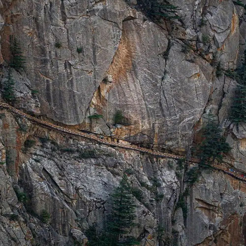 listing-details-carousel