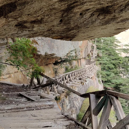 listing-details-carousel