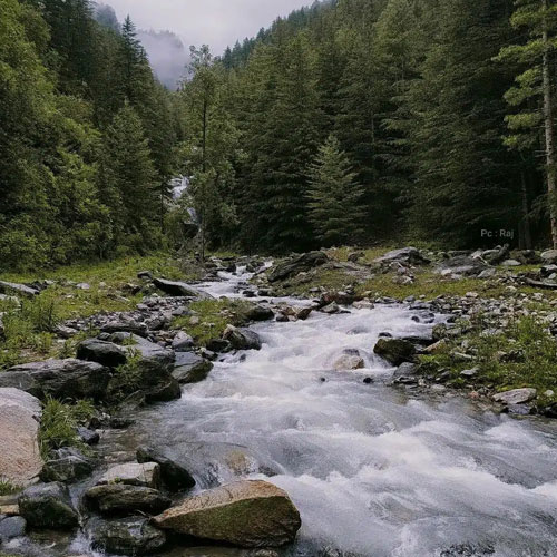 listing-details-carousel