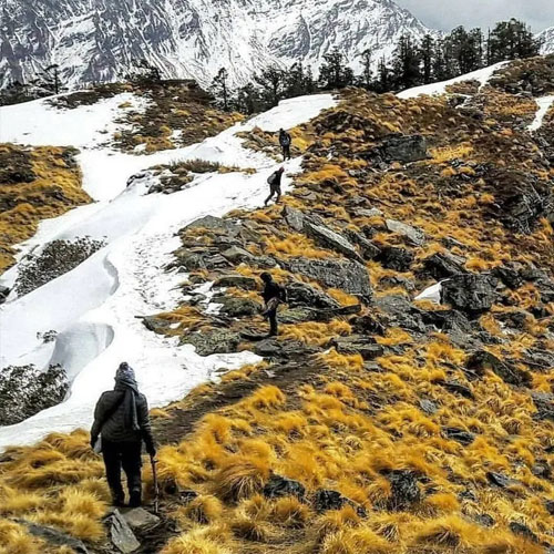 listing-details-carousel