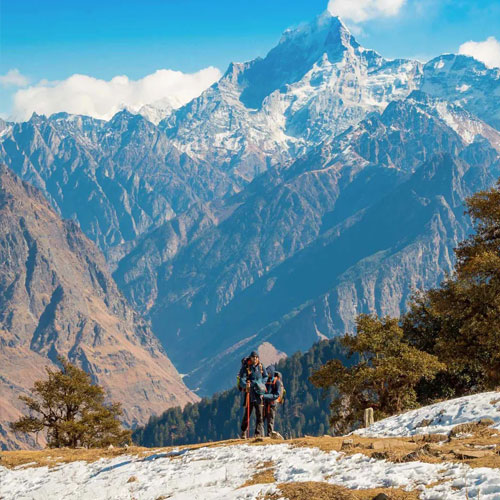 listing-details-carousel