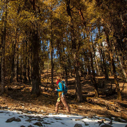 listing-details-carousel