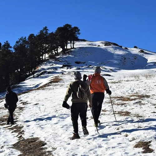 listing-details-carousel