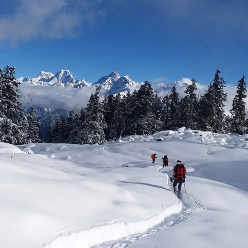 listing-details-carousel