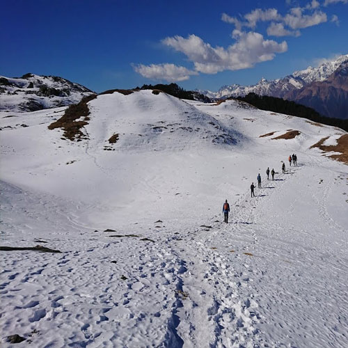 listing-details-carousel